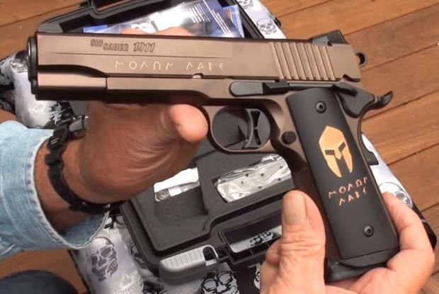 Maryland Set To Target 110,000 Citizens With Gun Confiscation