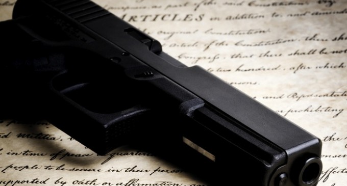 Gun Control Fanatics are Disarmed When it Comes to Facts