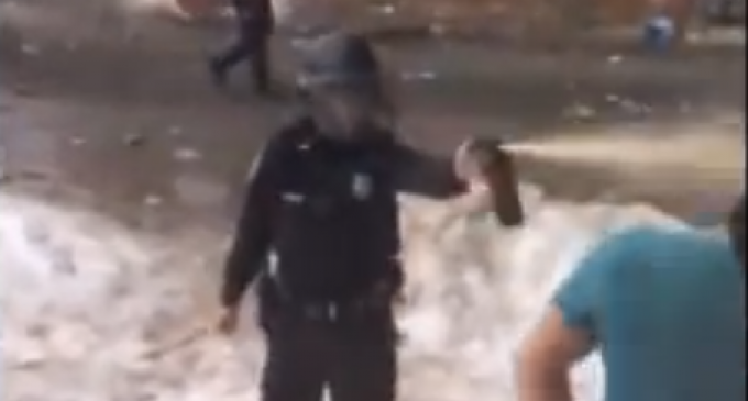 Cop Very Casually Maces Student