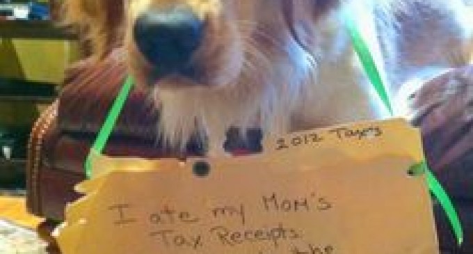 Rep. Steve Stockman Bill: “The Dog Ate My Tax Receipts Resolution”