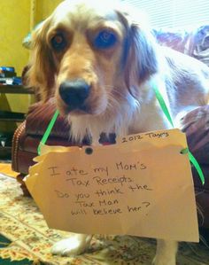 Rep. Steve Stockman Bill: “The Dog Ate My Tax Receipts Resolution”