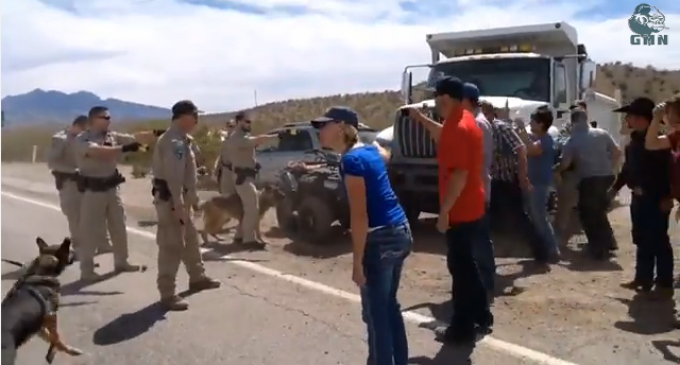 Update From Bundy Ranch: Feds Halt Efforts to Seize Cattle