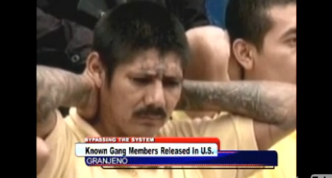 MS-13 : Easily Identifiable Gang Members Set Loose On American Streets By Border Control