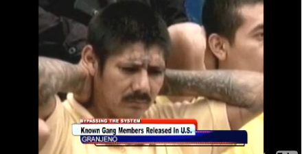 MS-13 : Easily Identifiable Gang Members Set Loose On American Streets By Border Control
