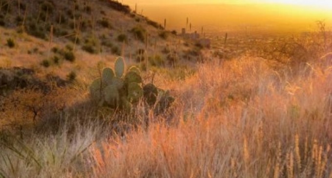 Obama Seizes 500,000 Acres In New Mexico – A Nice Meeting Place For Criminals