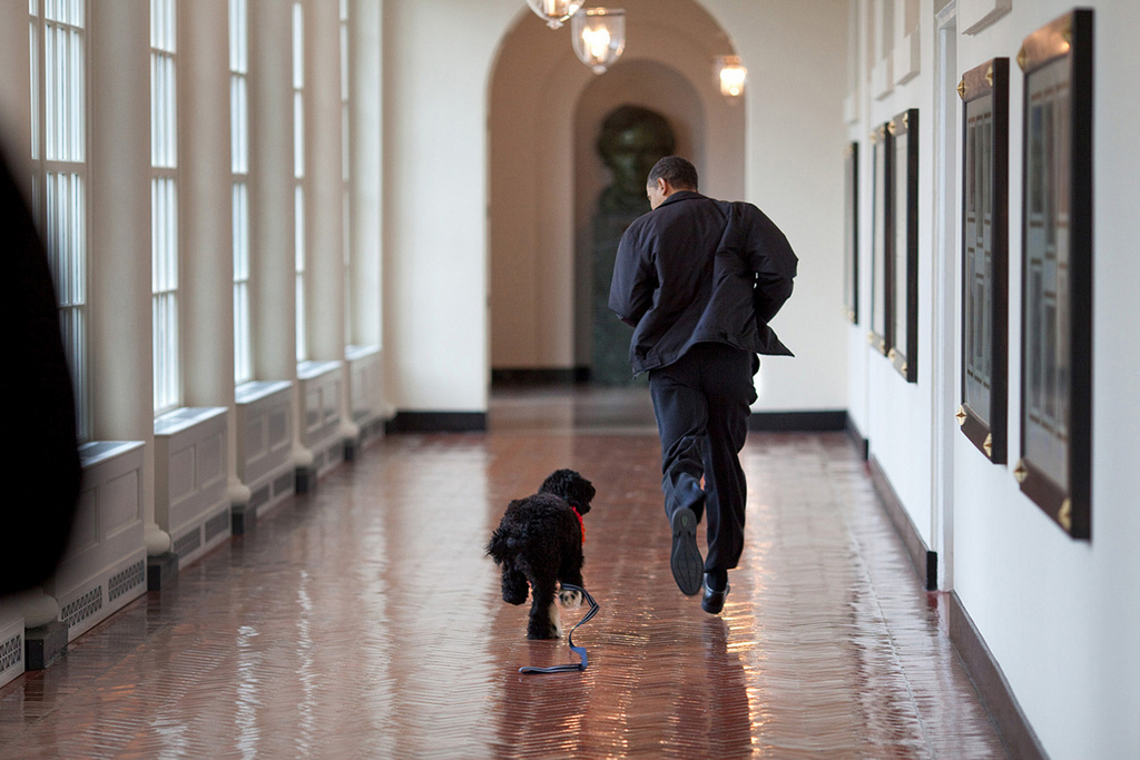 When Will The Obamas Be Evicted From The White House?