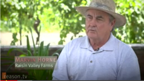 Raisin Farmer Fined $700,000 For Not Giving USDA 47% Of Their Crop